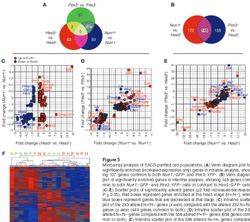 Figure 5Microarray analysis of FACS-purified cell populations. (Pblue boxes represent genes that are decreased at that stage