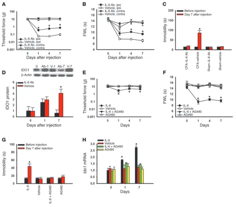 Figure 9Role of IL-6 signaling in hippocampal IDO expression and behavioral changes. (microinjection regimen concurrently induced depressive behavior in FST (same rats