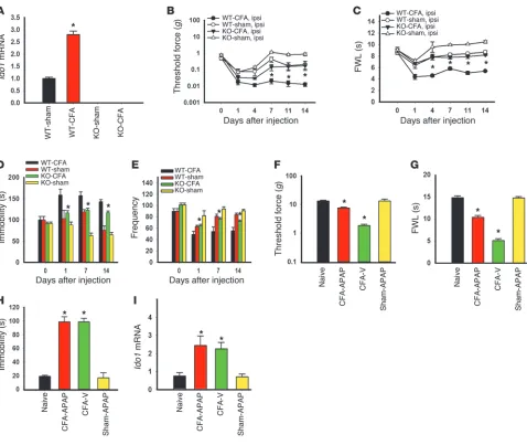 Figure 6Effect of IDO-knockout on behavioral changes. (injection. Mean ± SEM, in the same rats