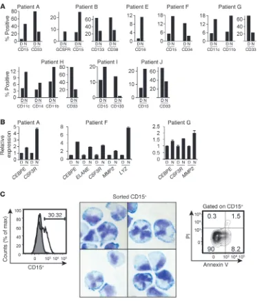 Figure 8Granulocytic differentiation of FLT3ITD cells after inhibition of CDK1 activity