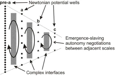 Figure 5. An archetypal multiscalar natural system, displaying quasi-stability across the entire gamut of its features, evidencing a degree of correlation across the entire architecture, across all representations, across all interfaces