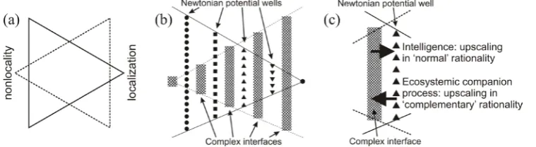 Figure 10. (a) The simplified representation of a birational hierarchy: the “normal” rationality (solid line) is reduc-tive towards localization; the “complementary rationality” (dashed line) is reductive towards nonlocality; (b) the two interleaved comple