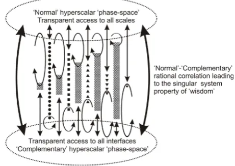 Figure 11. Interactions between the two hyperscalar “phase-spaces” of a birational natural hierarchy, providing an environment within which relationships between “reason” and “emo-tion” may develop