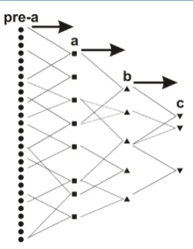 Figure 4. The manifestation of intelligence at a series of different levels in a multiscalar “system” where there is no global consistency between the various locally-applicable rationalities