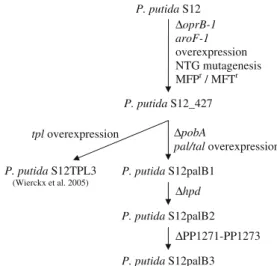 Fig. 1 Genealogy of aromatics producing mutants of P. putida S12. The right hand column shows how each successive mutant was obtained.