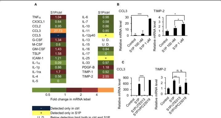 Fig. 2 S1P stimulation of airway ECs induces CCL3 and TIMP2 gene expression, and CCL3 and TIMP2 are S1P-dependent in vitro