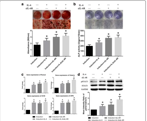 Fig. 4 Exogenous IL-6 and sIL-6R promote osteogenic differentiation in BM-MSCs.osteoblastic marker genes in BM-MSCs was also promoted by exogenous IL-6 and sIL-6R