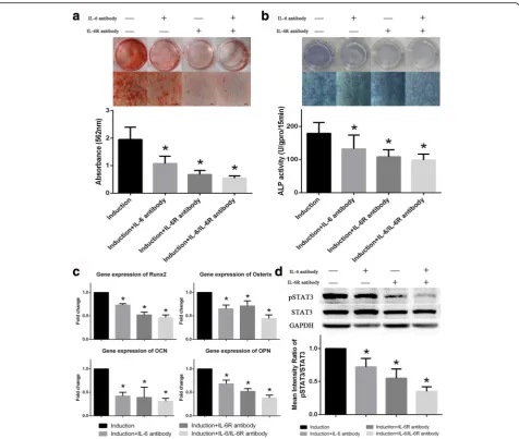 Fig. 5 IL-6- and IL-6R-neutralizing antibodies inhibit osteogenic differentiation in BM-MSCs