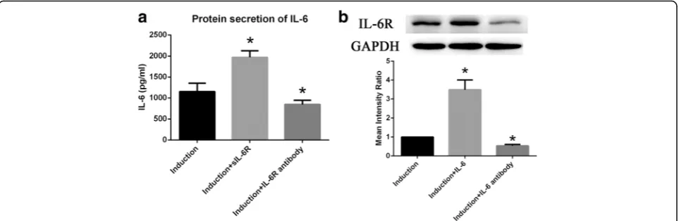 Fig. 6 IL-6 and IL-6R stimulate each other’s expression in BM-MSCs. a IL-6 secretion in BM-MSCs was increased by exogenous sIL-6R but decreased byIL-6R-neutralizing antibody during osteogenic differentiation