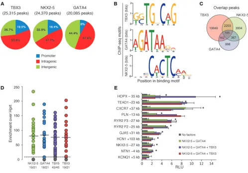 Figure 1In vitro validation of ChIP-seq datasets. (obtained from the MEME motif discovery analysis