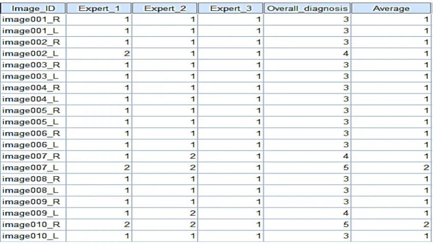 Fig. 4 Summary of experts’ diagnosis