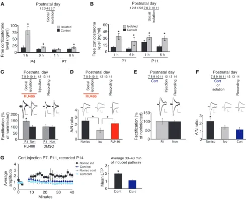 Figure 3Increased glucocorticoid mediates synaptic plasticity disruption by isolation