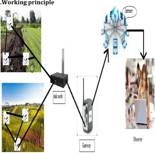 FIG 4: Proposed system of smart agriculture using 