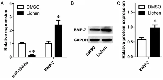 Figure 3. The expression of of miR-194-5p and BMP7 were reversely changed after the treatment of Lichen extracts in HCM