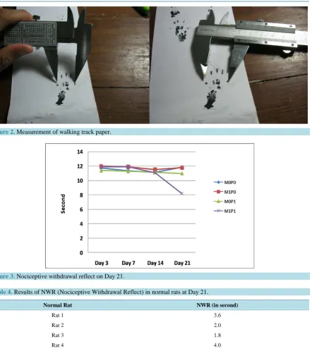Figure 3. Nociceptive withdrawal reflect on Day 21.  