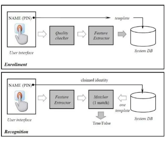 Fig 1: Working of Biometric System 