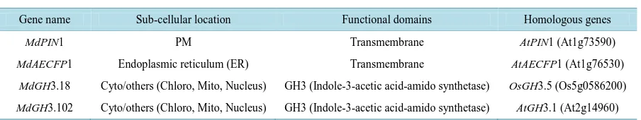 Table 3. Bioinformatics of auxin-related genes.                                                                         