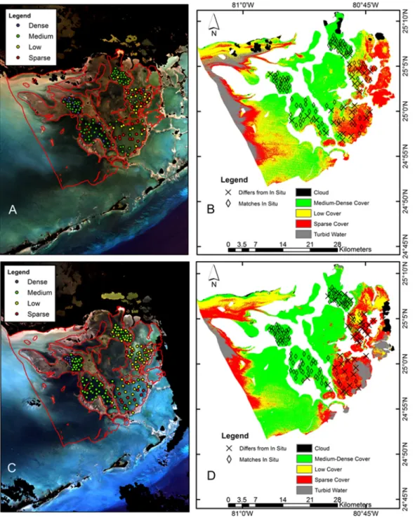 Figure 4. (A) 2007 true color composite of the study area showing in-situ data; (B) 2007  seagrass cover mapping product showing coherence with in-situ data; (C) 2008 true color  composite of study area showing in-situ data; (D) 2008 seagrass cover mapping