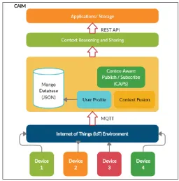 Table I: CAIM Services Description 