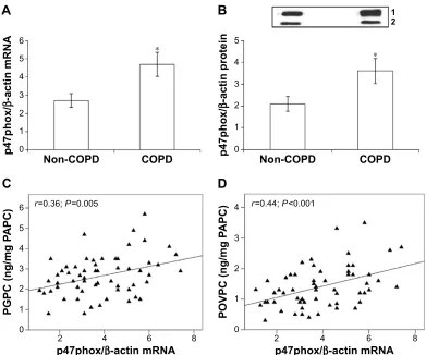 Figure 6 Correlation between p47phox and nrf2 mrna expression in PBMC of all non-COPD and COPD subjects.Abbreviations: COPD, chronic obstructive pulmonary disease; mrna, messenger rna; nrf2, nuclear factor-e2-related factor 2; PBMC, peripheral blood mononuclear cells.