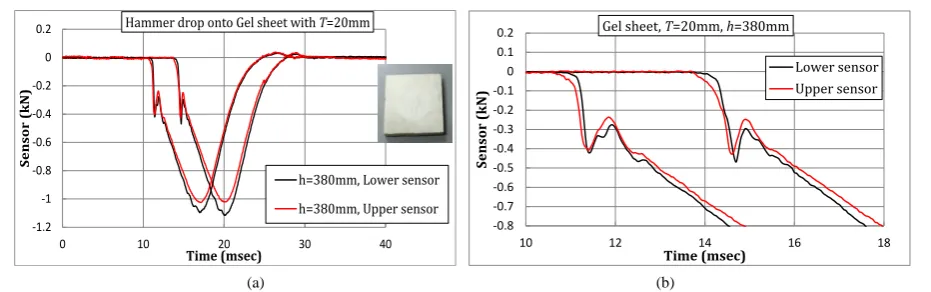 Figure 4. Impact force waveform induced by the hammer drop onto gel sheet with 20 mm thickness