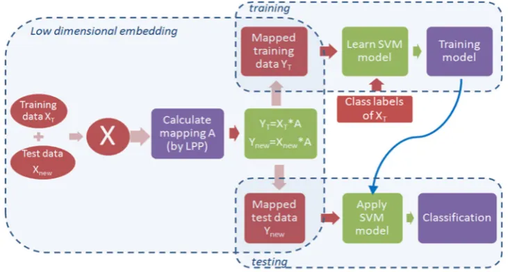 Fig. 3 Training and testing