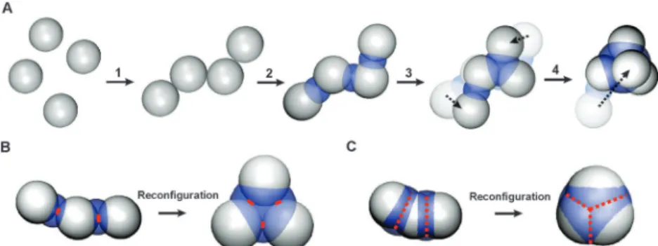 Fig. 1 (A) Illustration of the colloidal recycling method. (1) Destabilization of colloids resulting in the formation of aggregates