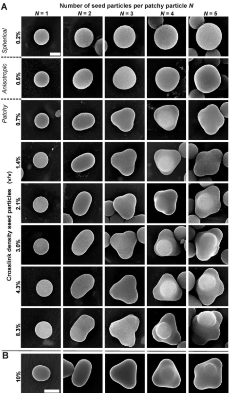 Fig. 2 SEM micrographs of spherical, anisotropic and patchy particles of N = 1–5 formed by polystyrene seed particles of different crosslink densities (cd)