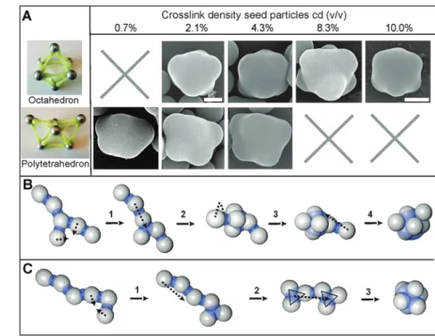 Fig. 4 Patch arrangements and reconfiguration pathway of patchy particles of N = 6. (A) Schematic illustration and SEM micrographs of the octahedron (top row) and the polytetrahedron (bottom row) constructed from seed particles with cd = 0.7%, 2.1%, 4.3%, 