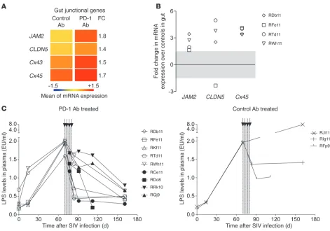 Figure 2PD-1 blockade enhances gut junction–associated gene expression and reduces microbial translocation in SIV-infected RMs