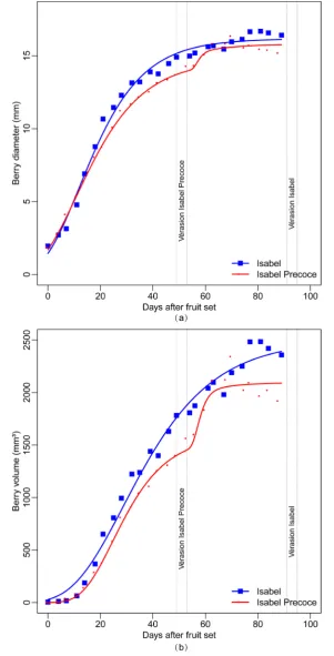 Figure 2. Diameter ((a)—mm) and volume ((b)—mm3) variation during berry development of “Isabel” and “Isabel Precoce”
