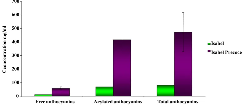 Figure 2. Quantification of anthocyanins in Isabel and Isabel Precoce cultivars. Sampling performed at 80 DAFS during the 2008/2009 season