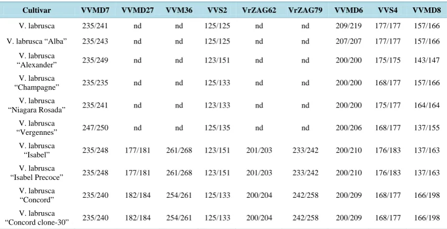 Table 2. Microssatelite allele profiles of Vitis labrusca cultivars compared with “Isabel” and “Isabel Precoce”