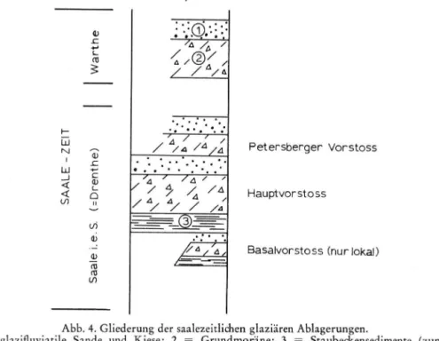 Abb. 4. Gliederung der saalezeitlichen glaziären Ablagerungen. 