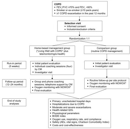 Figure 1 Design of the COMeT study.Notes: COPD patients are randomized 1:1 into a home-based management group and a comparison group