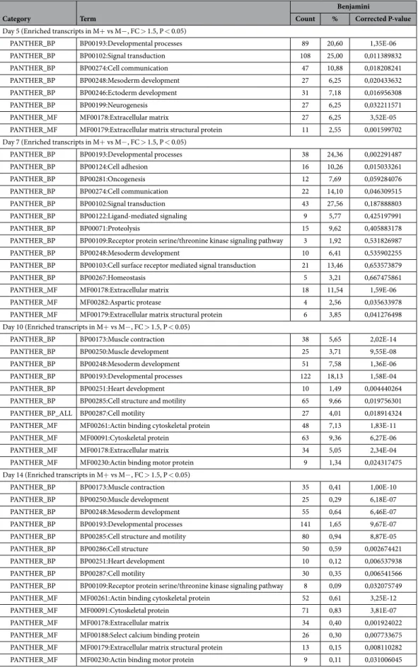 Table 1.   Gene Ontology Analysis of enriched transcripts at sequential stages of differentiation