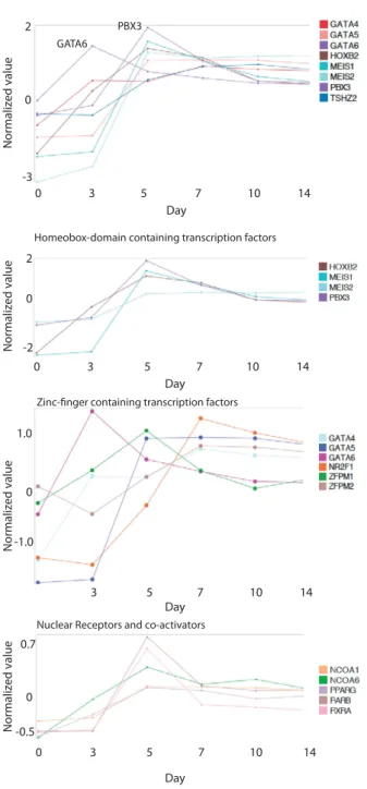 Figure 5.  Profile Plots of Day 5 and Day 7 Enriched Transcription Factors. The upper panel shows the  expression patterns upon cardiac differentiation of a selection of DNA binding transcription factors