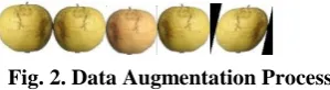 Fig. 2.  Data Augmentation Process 
