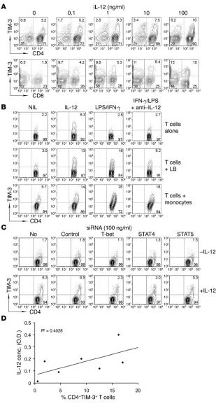 Figure 5Effect of IL-12 on TIM-3 expression on T cells 