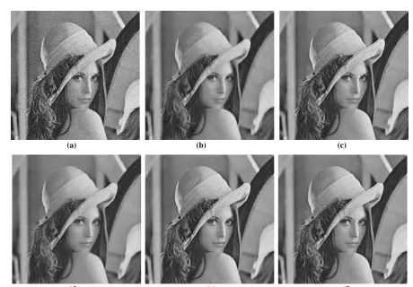 Fig. 3: Denoising of Lena image degraded with (d)                                                               (e)                                                              (f) 