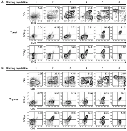 Figure 7T cell differentiation potential of putative extrathymic T cell precursors in the human tonsil