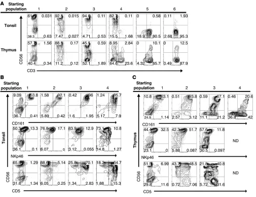 Figure 8NK cell differentiation potential of putative extrathymic T cell precursors in the human tonsil
