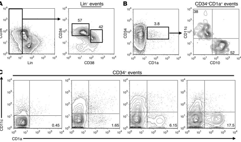 Figure 1The human tonsil contains CD34