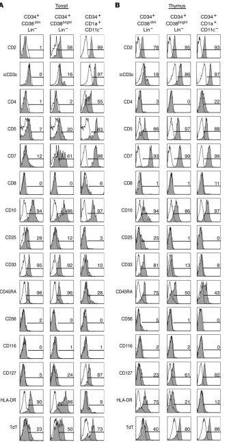 Figure 2Phenotypic comparison of CD34