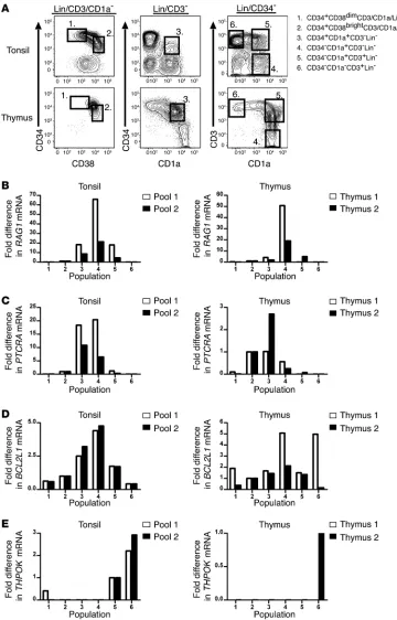 Figure 5Quantification of gene expression 