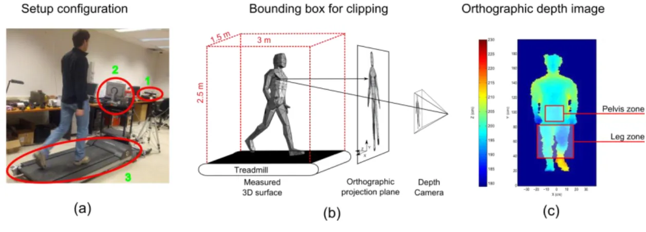 Figure  1.  (a)  Representation  of  the  experimental  set-up  featuring  the  depth  camera  (1),  the  recording computer (2) and the treadmill (3); (b) representation of the orthographic projection  operation and the bounding box in red, chosen to isol