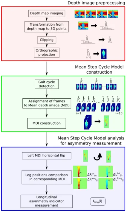 Figure  2. Representation of the method for measuring asymmetry indices of lower limbs  during  the  step  cycle