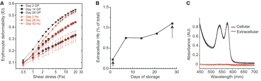 Figure 1In vitro deformability of stored rbc. (A) Shear stress versus EI plots for guinea pig (GP) rbc collected and stored in CPDA-1/AS-3 at days 2, 14, and 28 of storage