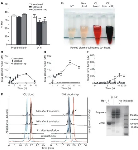 Figure 2In vivo Hb exposure after blood transfusion with or without Hp. (A) The percentage Hct did not differ among groups immediately prior to transfu-sion (P > 0.05)