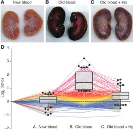 Figure 4Initial tissue screening — gross pathology and proteomic 
